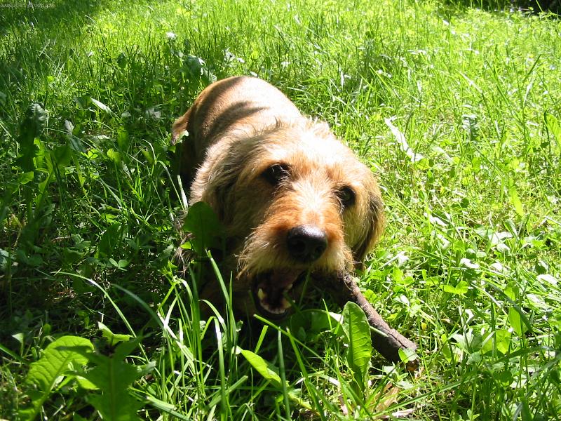 Foto: M�m r�da klac�ky-:)