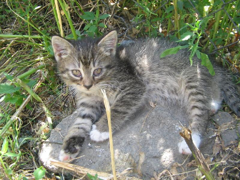 Foto: Poprv� na slun��ku-Slun��ko je pro m� novinka