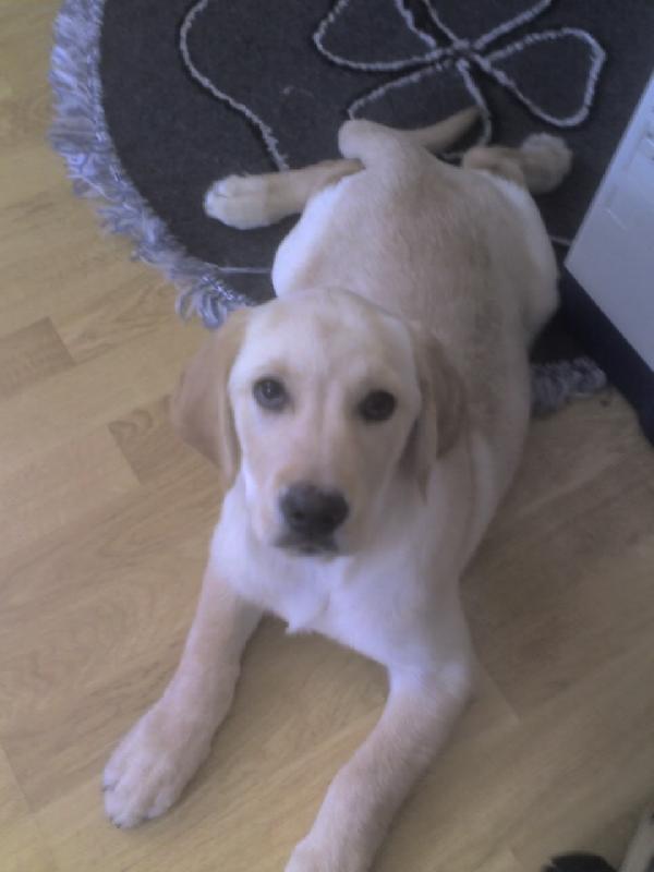 Foto: Uz jsem jsi docela na ten fotak zvykl...-Denny