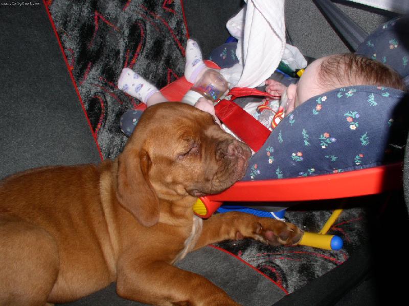 Foto: n� novy mazl��ek-tak u� v�m kde je moje m�sto