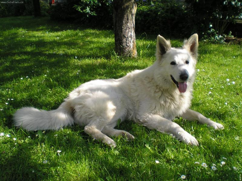 Foto: Jon�ek-Jon�ek m� siestu