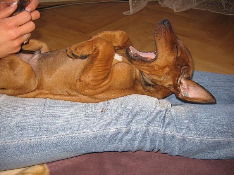 Foto: Alf�k-:) To stra�n� lecht����������