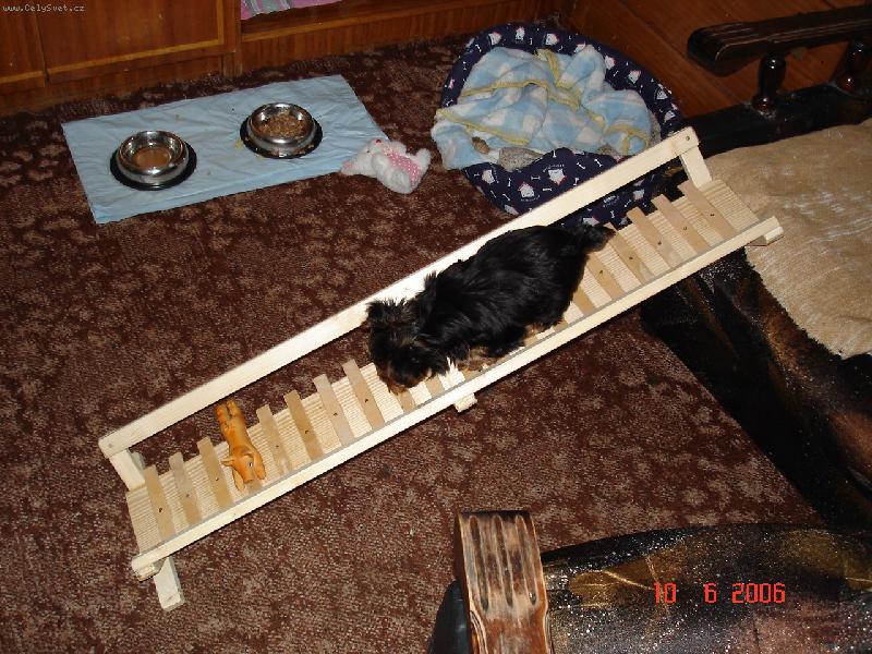 Foto: Vzh�ru do v��in-N� Baddy je mal� ale �ikovn�: s pomoc� mal�ch sch�dk� zdol� ka�dou pohovku, �i k�eslo.