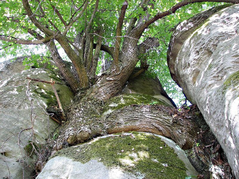 Foto: �IVOT V MRTV�M SEV�EN�