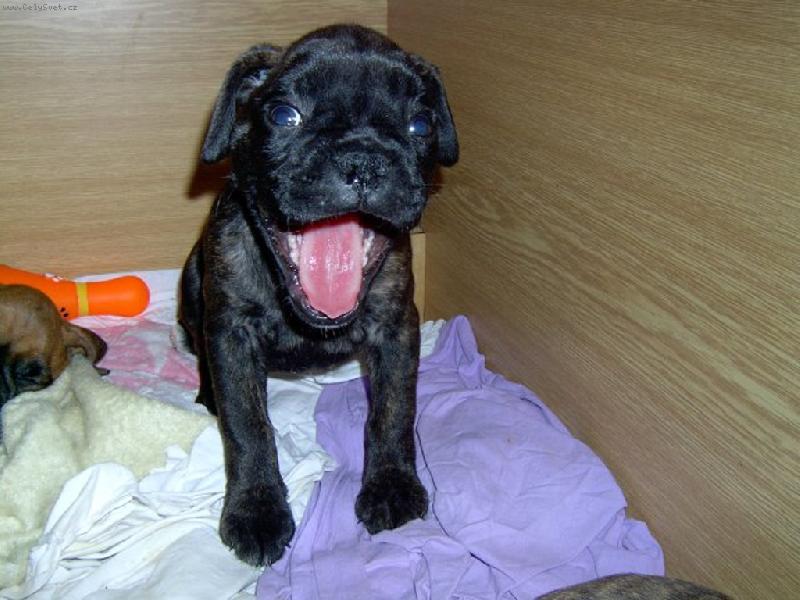 Foto: Mal� D�na-To byla ,ale legrace :)