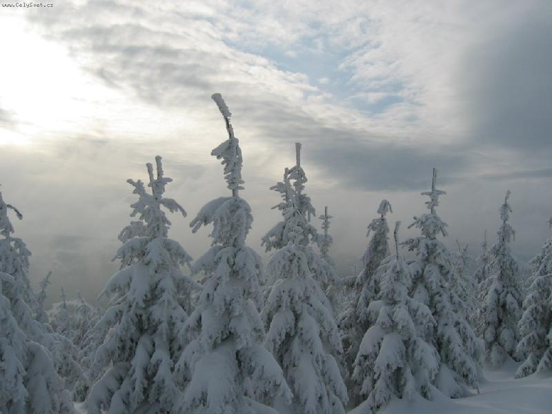 Foto: NA H�EBENI KRKONO�-Tro�ku se ochladit...