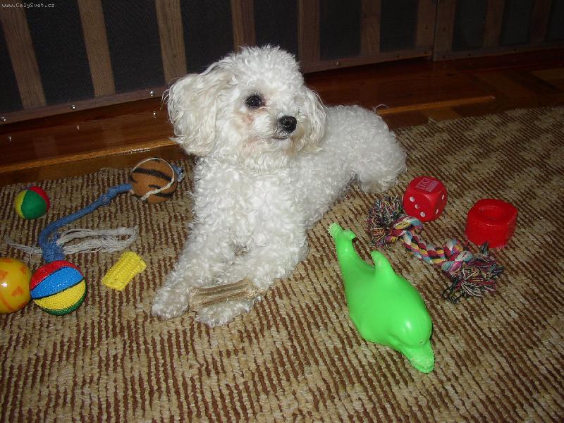 Foto: Poj�te si se mnou n�kdo hr�t!-Zora a hra�ky