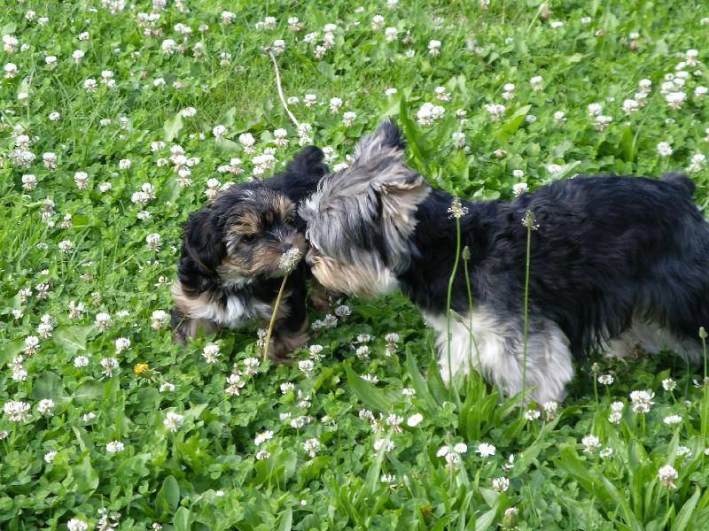 Foto: Otec a syn-Pr� moc von� :-).....