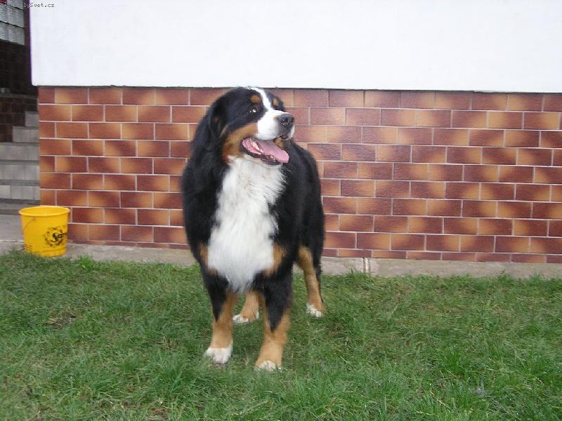 Foto: N� fe��k-No neni hezkej?