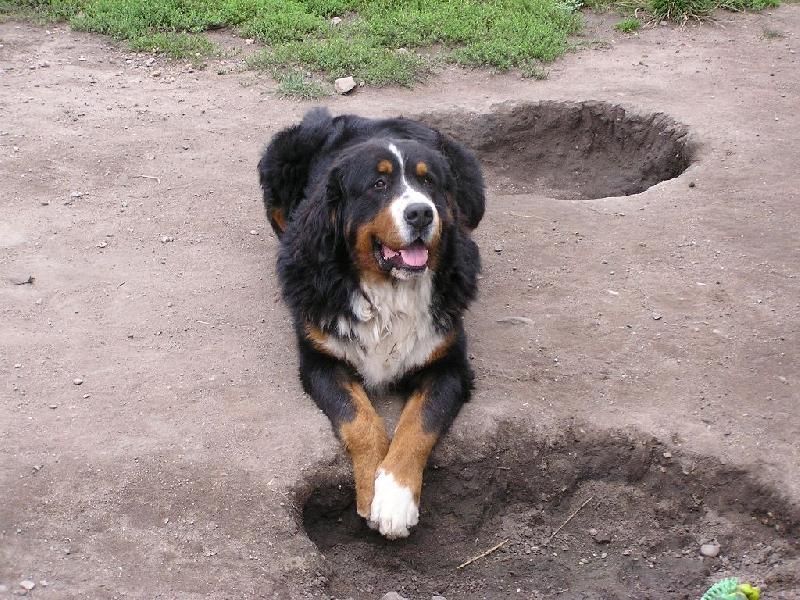 Foto: Ja nic.-Ty d�ry kolem nejsou moje pr�ce.