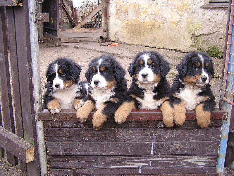 Foto: kuk-kde jste kdo