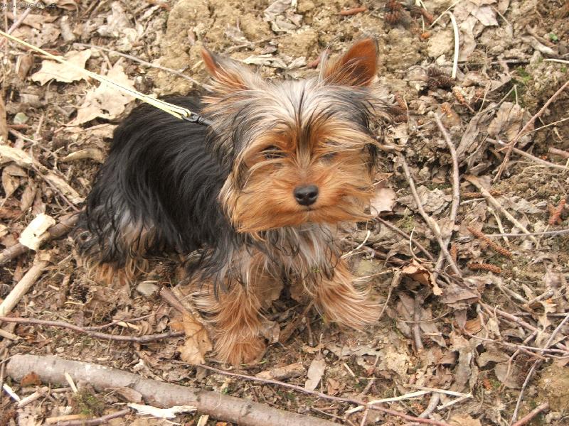 Foto: Na proch�zce