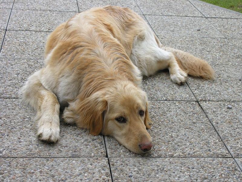 Foto: Ambru�ka-To se mi to spink�