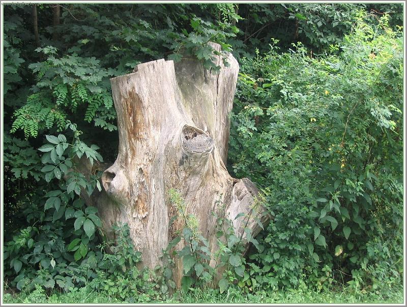 Foto: Minulost....-torzo pa�ezu....