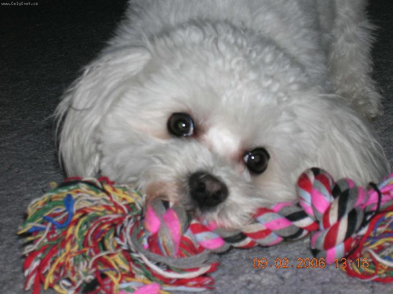 Foto: Neberte mi ten uzel...........!!!!!!!!!!!