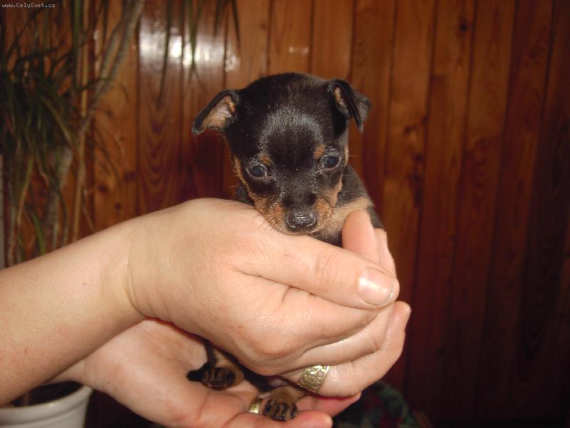 Foto: Amigo-Tak trochu v men��m proveden�...