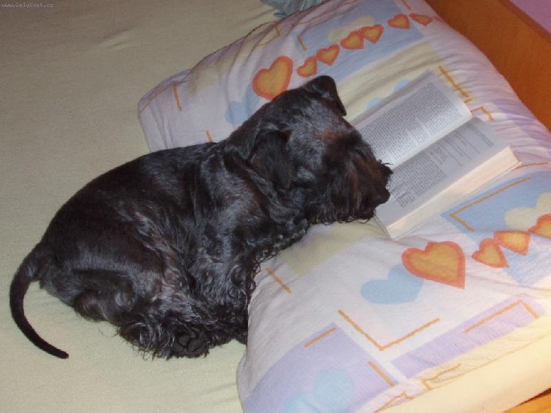 Foto: Poh�dka na noc-P�ed span�m si r�d po�tu v literatu�e.