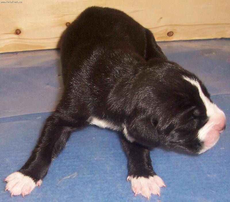 Foto: Prvn� pohled na sv�t-�t���tko