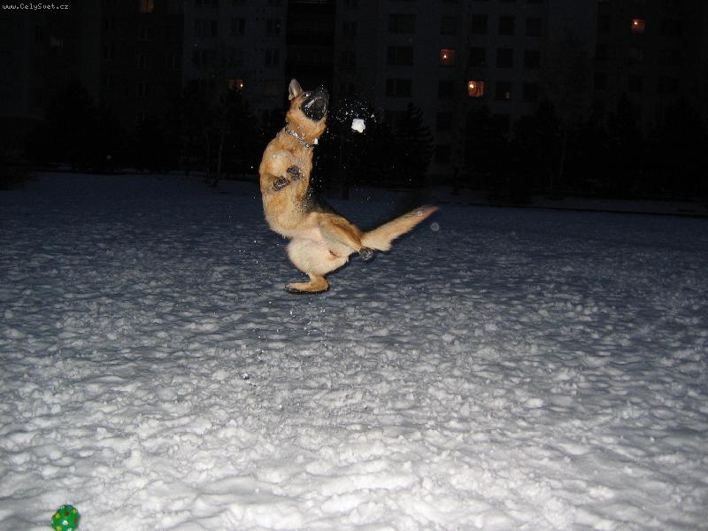 Foto: Na�a Ka�a-Lovec sn�hov�ch koul�