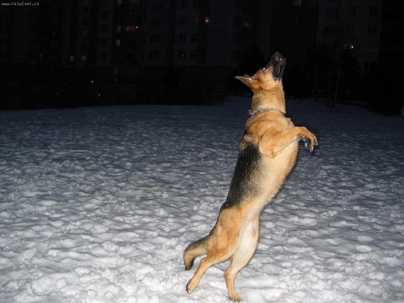 Foto: Na�a Ka�a-Cht�la bych l�tat