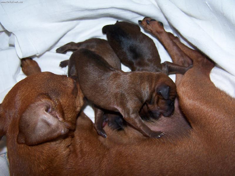 Foto: Te� jsem na �ad� j�!!! M�m hlad jako vlk