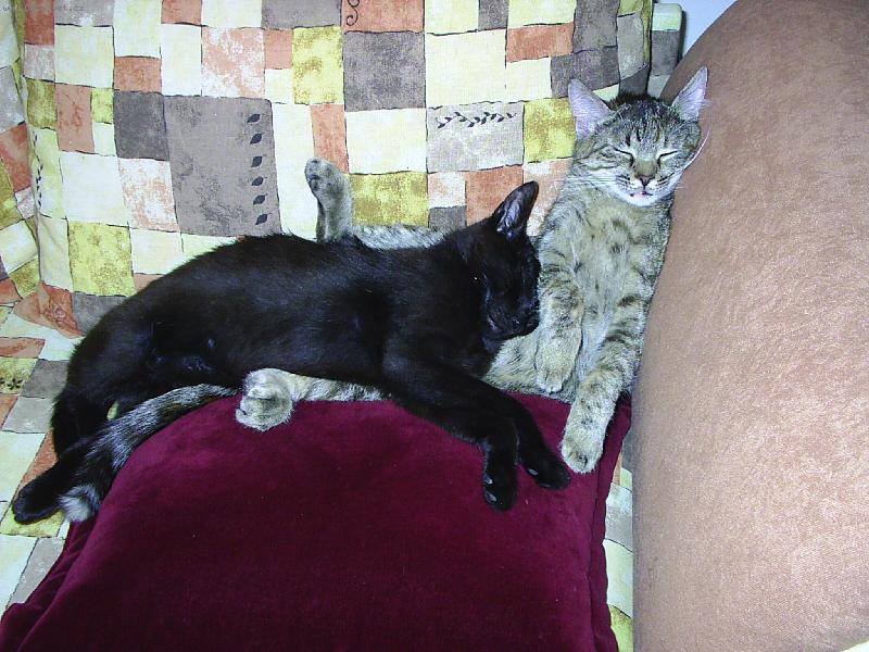 Foto: Dosti pohodln� span� :-D