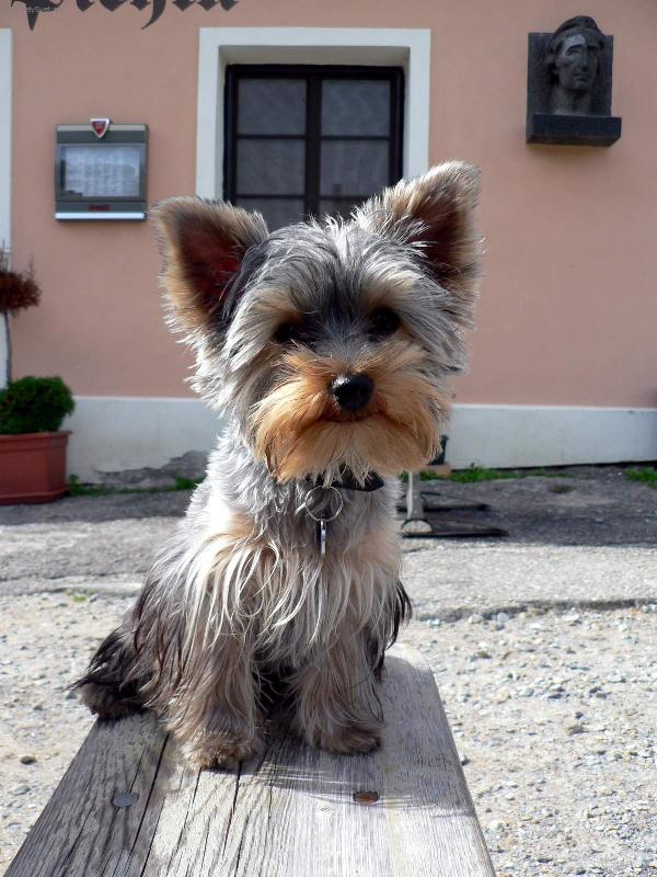 Foto: Kes�k na v�let�