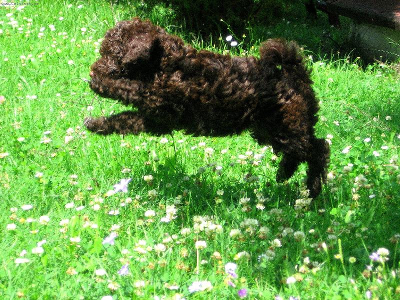 Foto: P�i h�e-�t�n� Bety