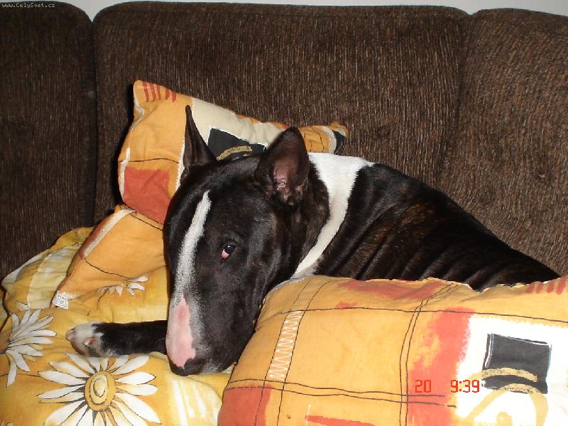 Foto: pohodl��ko :)