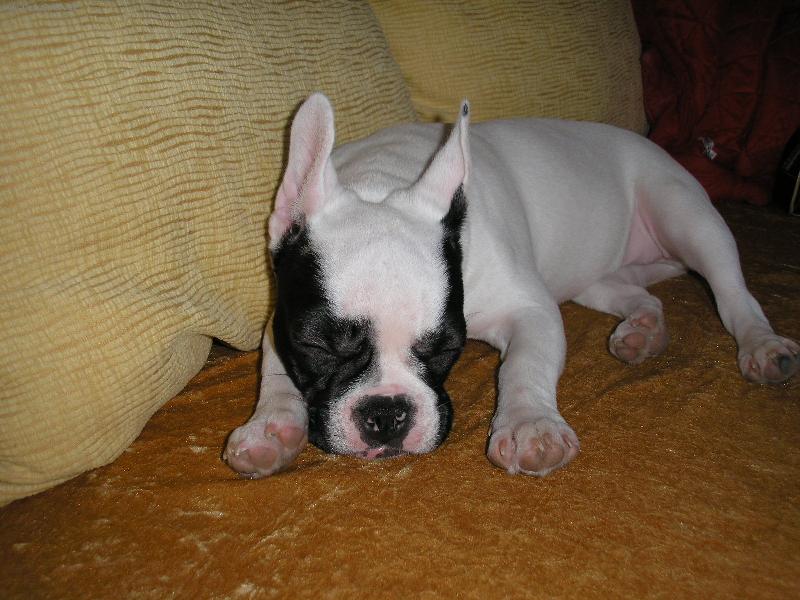 Foto: Spink�m, nebudit pros�m !