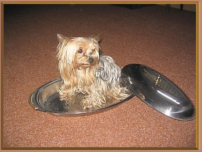 Foto: B � b i k a ...-Sanny  na st��b�e ...