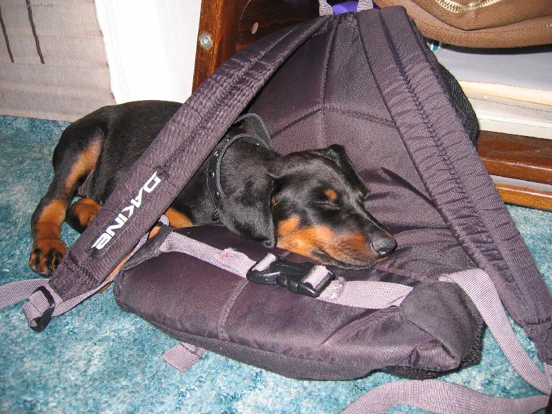 Foto: Lep�� ne� pel�ek!:)-Prost� leh�ro...