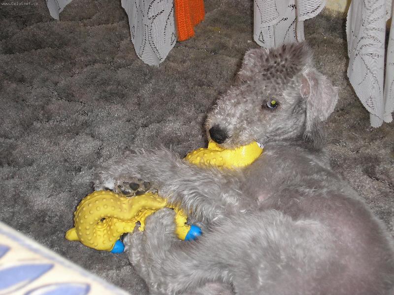 Foto: To je moje stono�ka