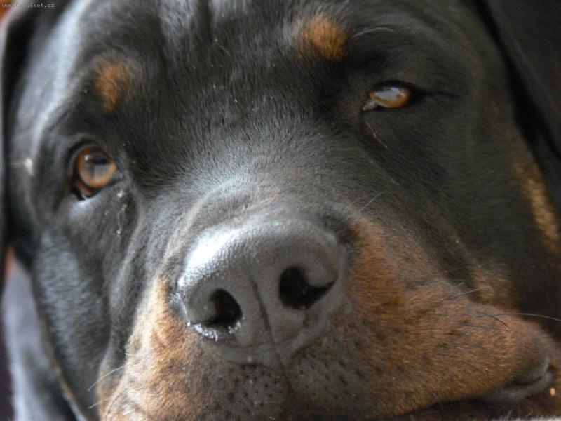 Foto: Pohodi�ka-Jak se m��e n�kdo b�t takov�ho ksicht�ku?