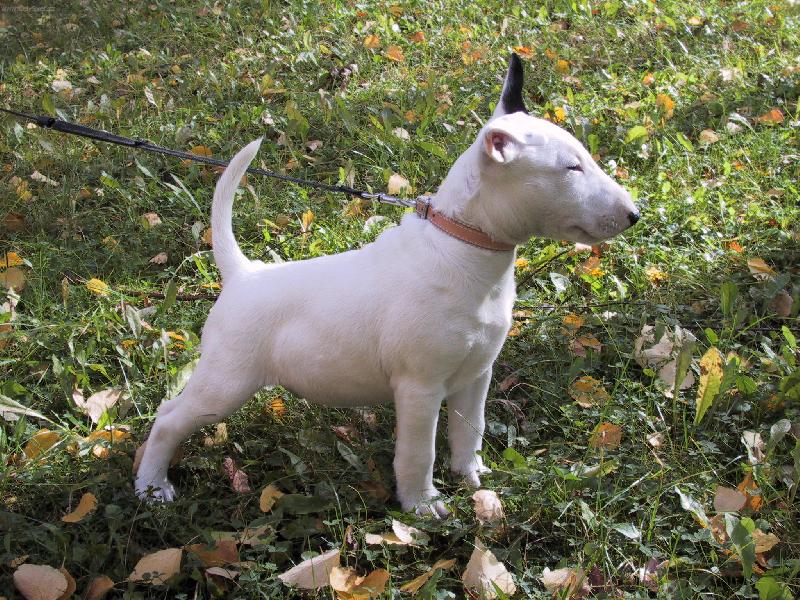 Foto: Mal� bojovn�k-:-)