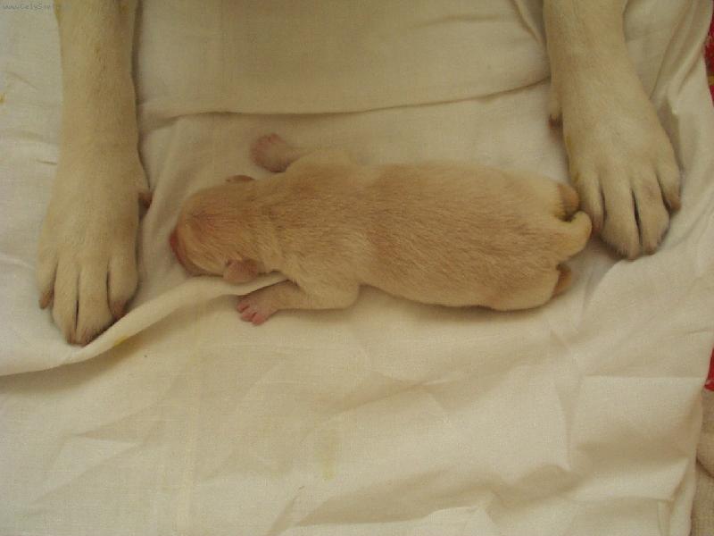 Foto: Paris-mezi packami sv� m�my je t��denn�mu Parisovi nejl�pe.