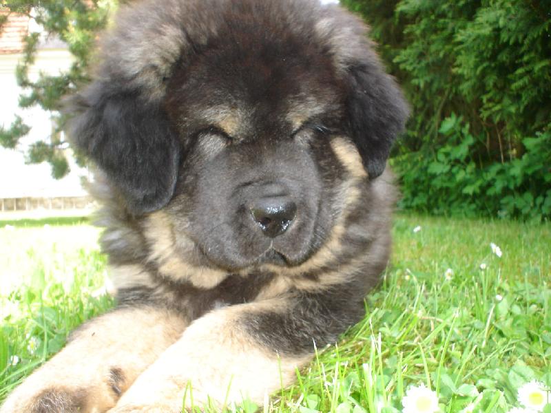 Foto: Tak tohle u� teda ne!-Nen� nad rozespal�ho hafana.