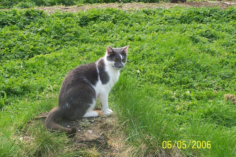 Foto: Bambulka-Tak kde je ta my�