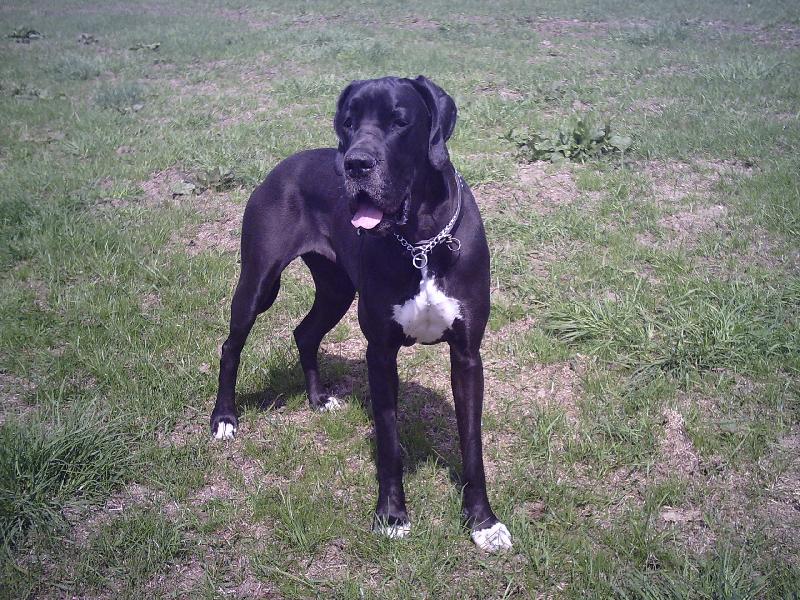 Foto: Moje Caramelka-Caramelka na proch�zce