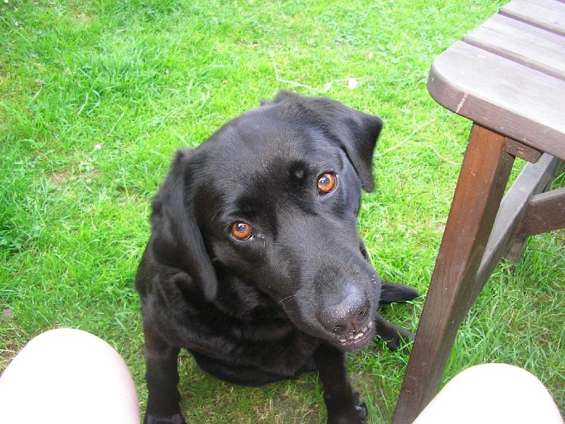 Foto: Elynka-To je prvn� fotka kter� s emi tak n�dhern� povedla je to an�e Elynka