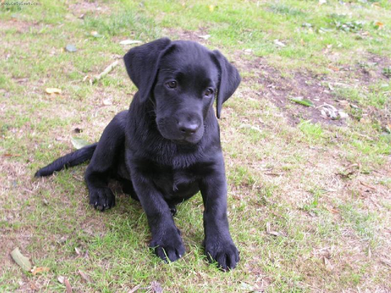 Foto: Mal� smutn� sle�na