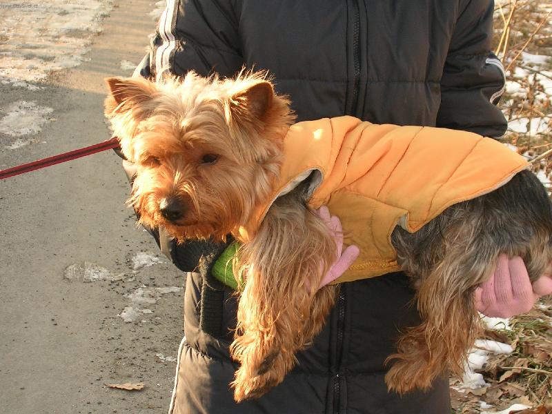 Foto: To se nesu-�ol�k