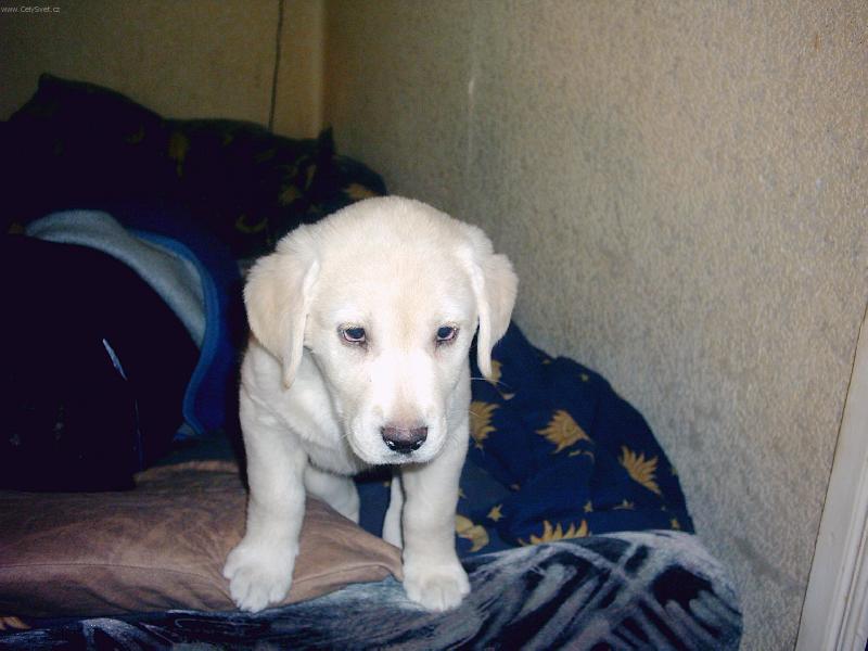 Foto: ani sp�t m� nenechaj,ten kdo tu byl tak m� vyru�il