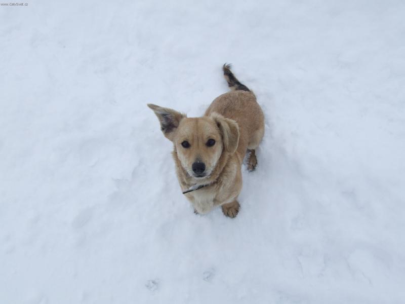 Foto: To je co?-:-))))