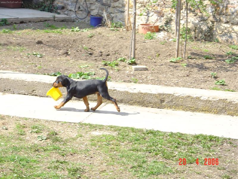 Foto: Zlod�j��ek-A te� si budu hr�t zas chvilku j�.