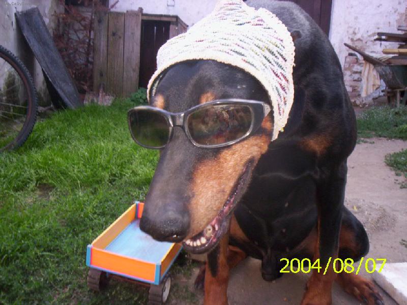 Foto: to je ale fr�ja co???