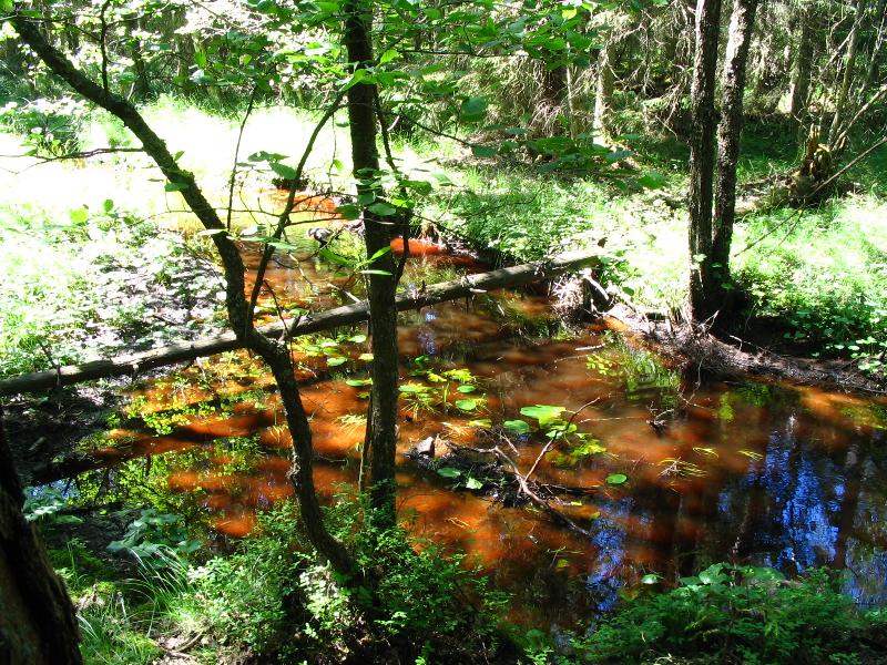 Foto: Ra�elini�t�-P��jemn� pohled na zvl�tn� zbarvenou vodu...