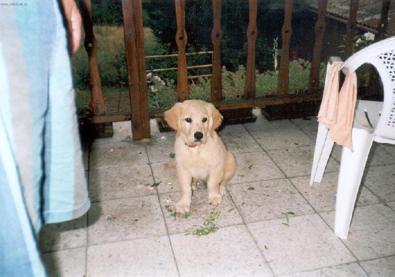 Foto: Kub��ek-Snad si nemysl�te, �e jsem to otrhal j�?