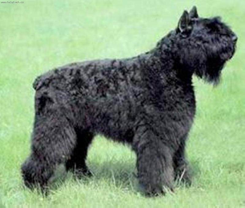 Foto: �sm�v pros�m?-�sm�v pros�m!