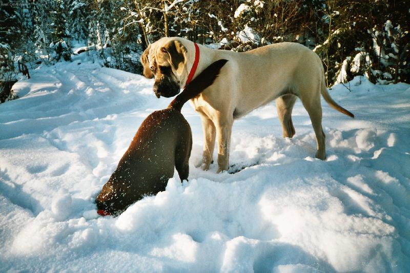 Foto: Co to tam m�?-Terezka a Wendy